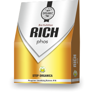 Rich Phos
